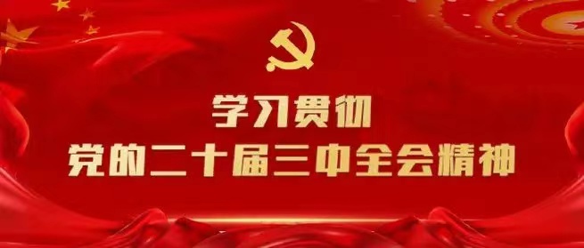 學習會議精神，貫徹落實工作 --川勘天晟源公司黨支部召開主題黨員大會